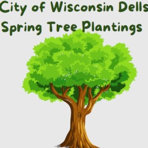 Spring Tree Planting